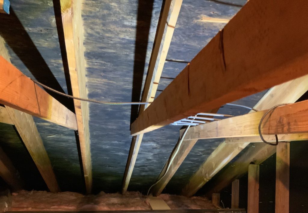 Mold Service