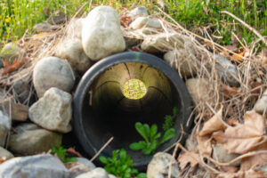 French drain with a black pipe and large rocks surrounding it.
